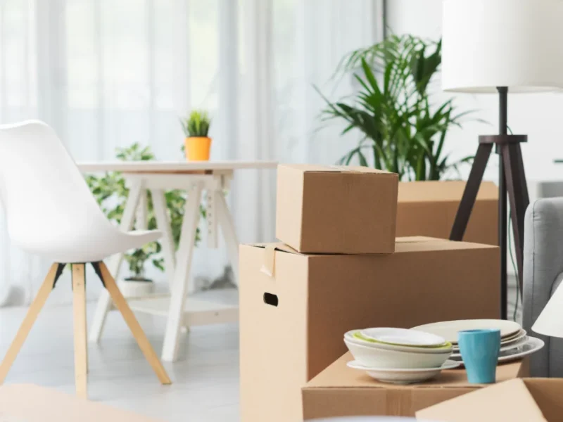 Move-In / Move-Out